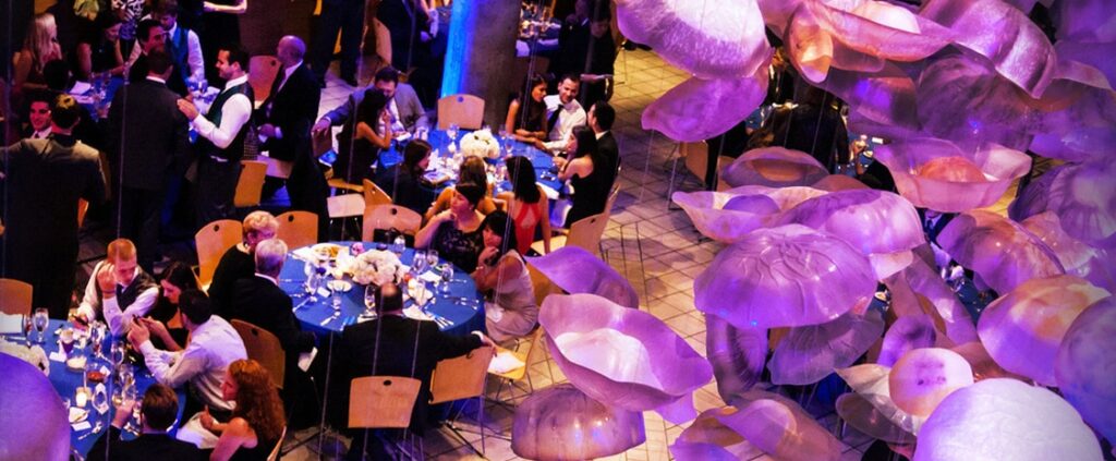 National Aquarium weddings in Baltimore