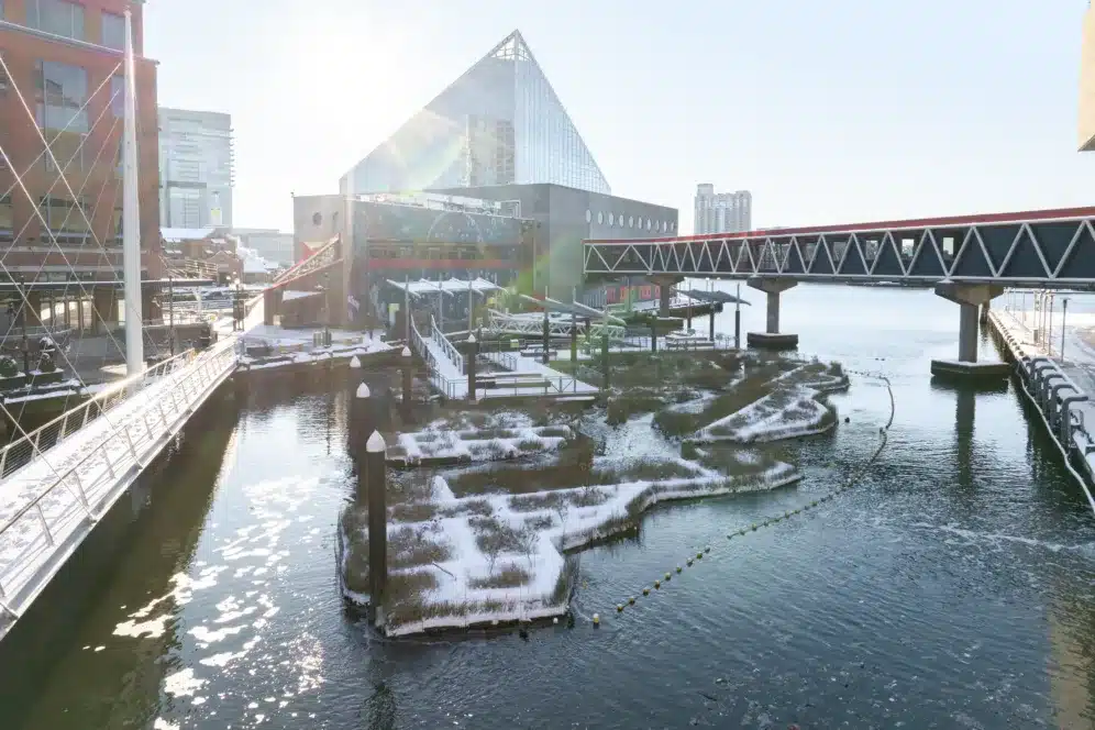 A waterfront scene with snow-covered walkways, a glass pyramid building, bridges, and modern city buildings under bright sunlight.