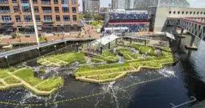 Floating wetlands with green plants are anchored in a harbor next to brick and modern buildings under a partly cloudy sky.